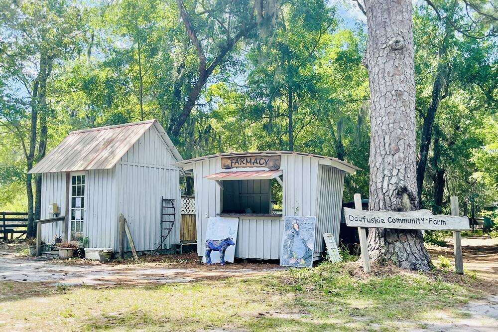 Photo of Others in Daufuskie Island