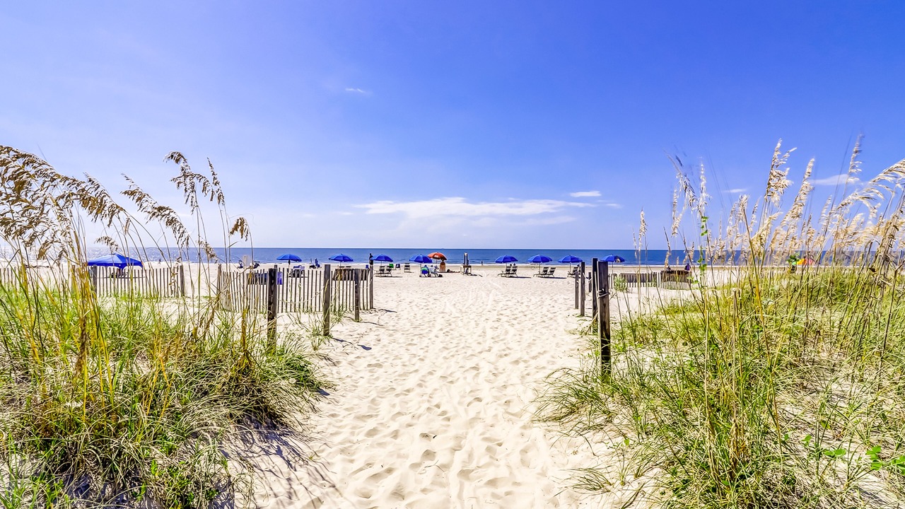 Photo of Others in Hilton Head Island