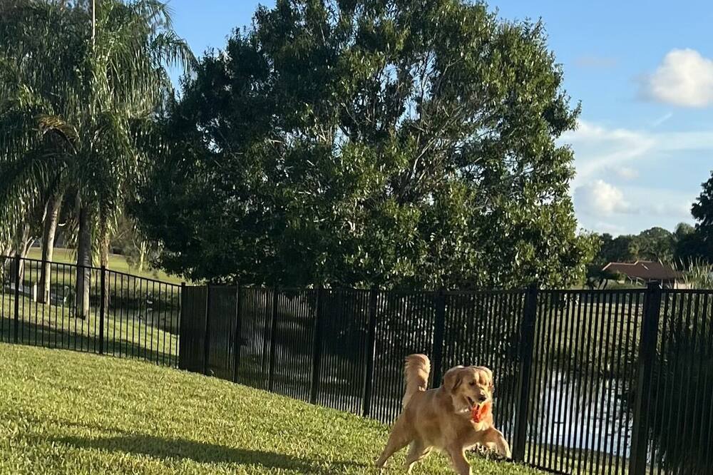 Photo of Others in Florida Ridge