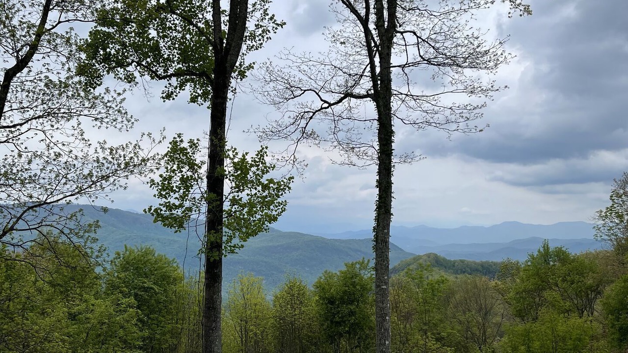 Photo of Others in Tuckasegee