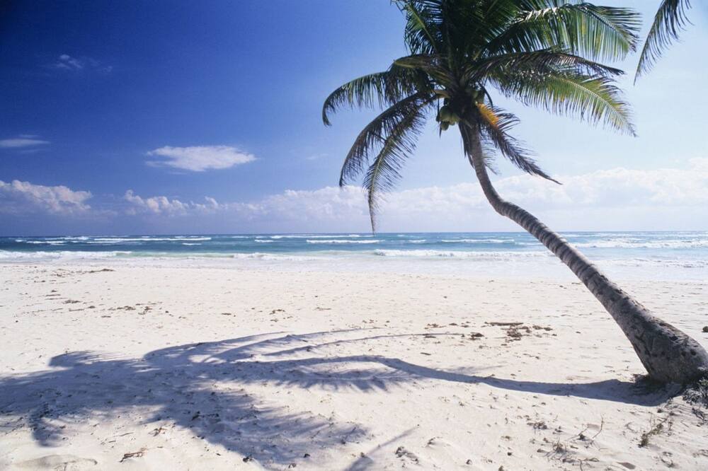 Photo of Others in St. Pete Beach
