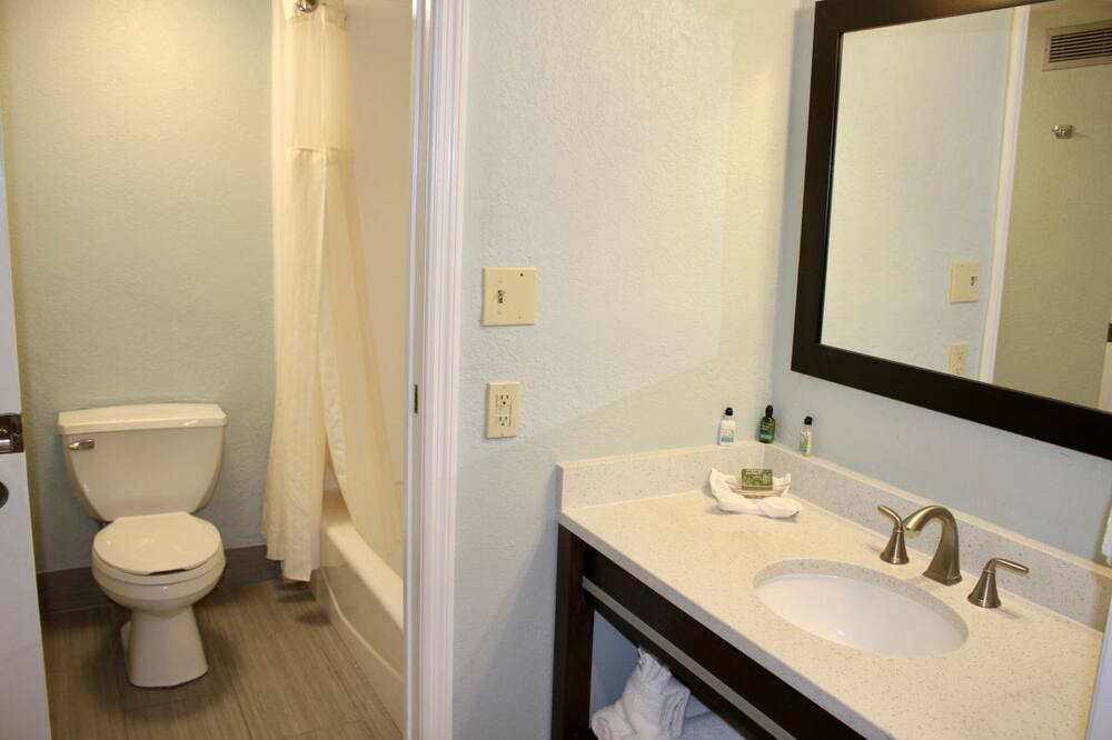 Photo of Bathroom in St. Pete Beach