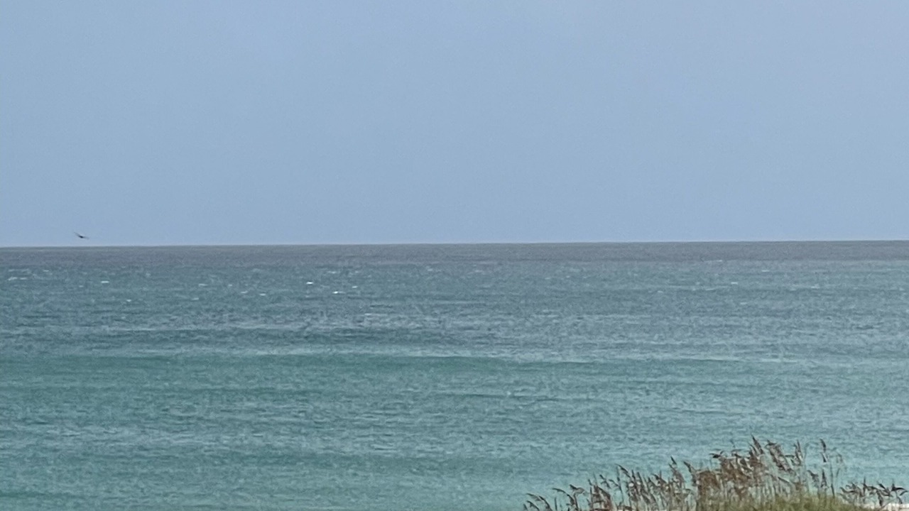 Photo of Others in Vero Beach