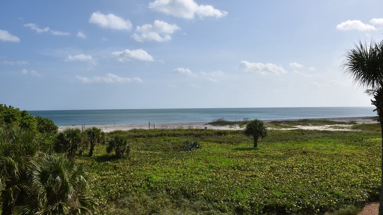 Photo of Others in Vero Beach