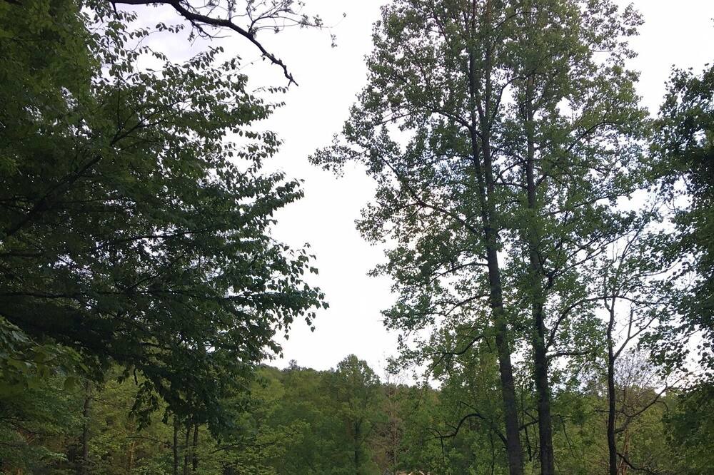 Photo of Outdoor in Brevard