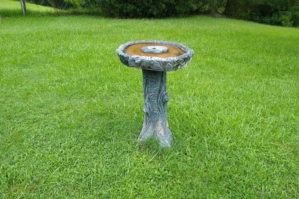 Photo of Outdoor in Summerton