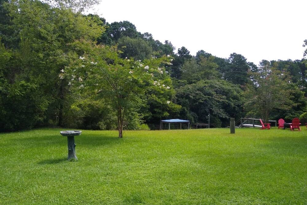 Photo of Outdoor in Summerton