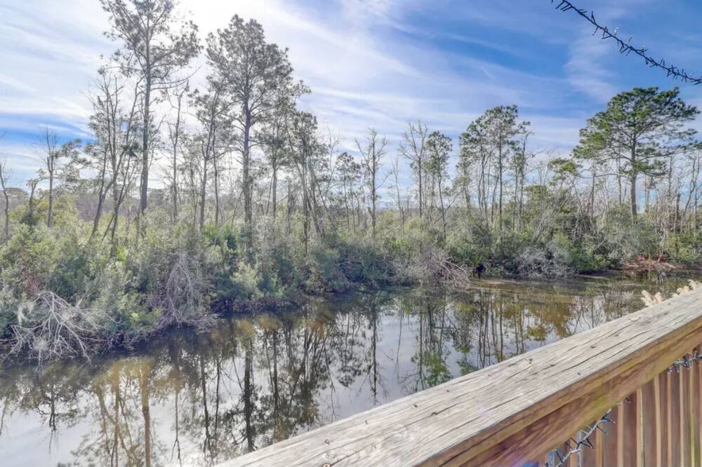 Photo of Others in Sea Pines