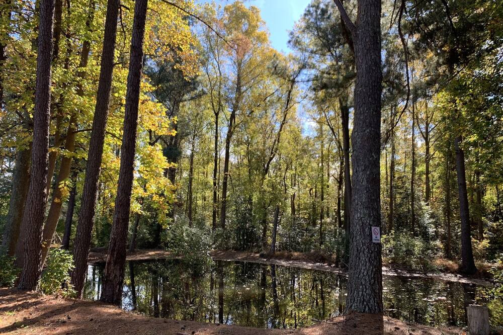 Photo of Others in Willow Spring