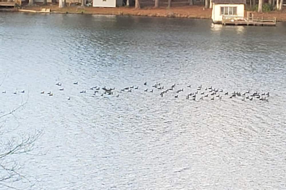 Photo of Outdoor in East Dublin