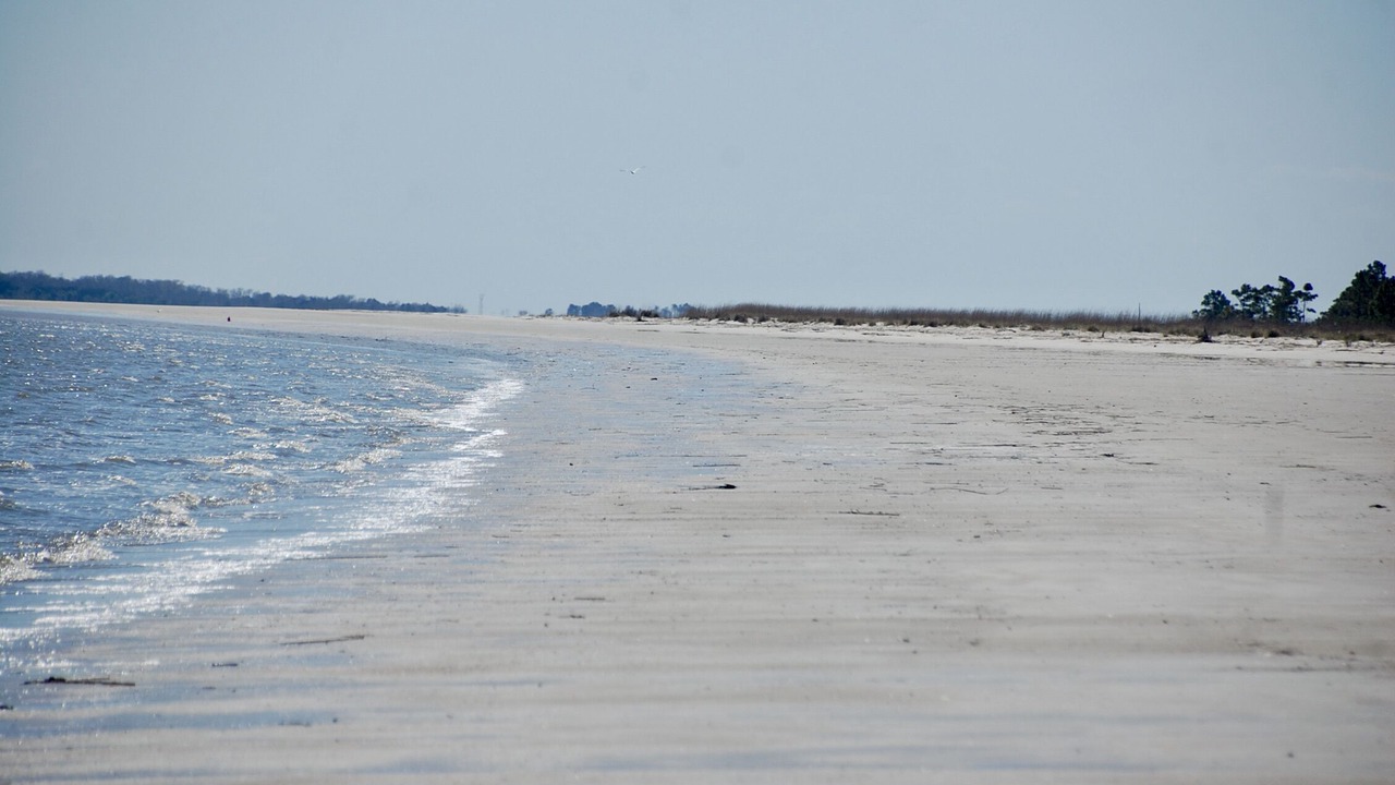 Photo of Others in Daufuskie Island