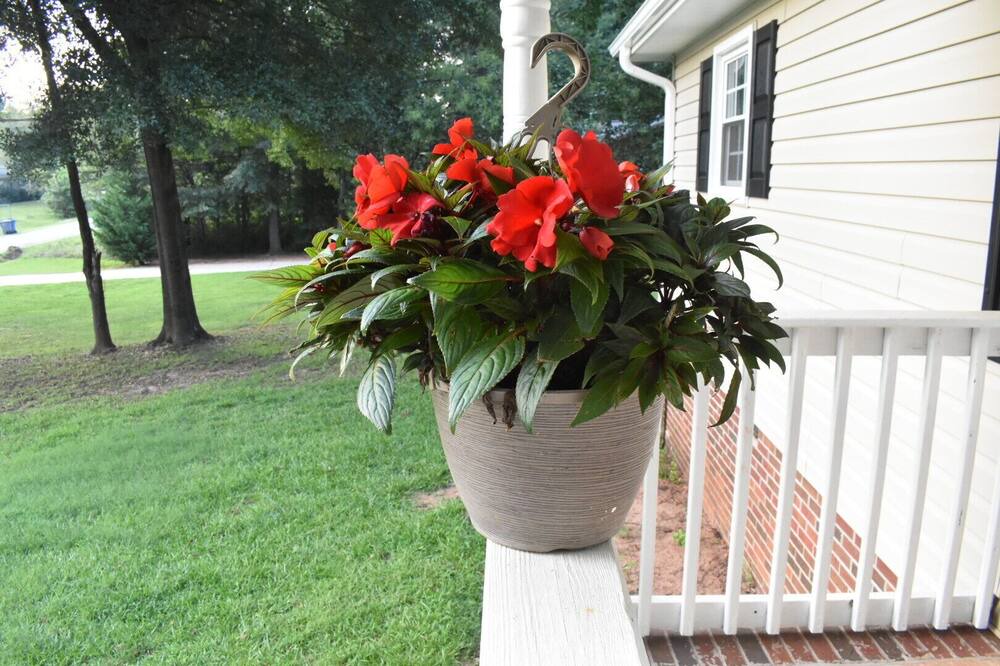 Photo of Outdoor in Greenville