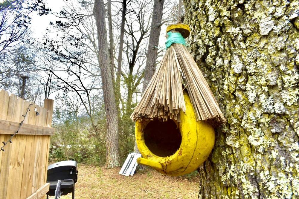 Photo of Outdoor in Greenville