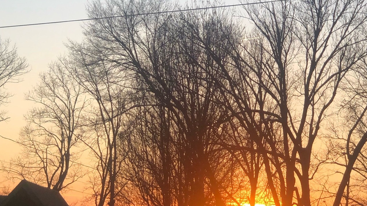 Photo of Outdoor in Mount Gilead