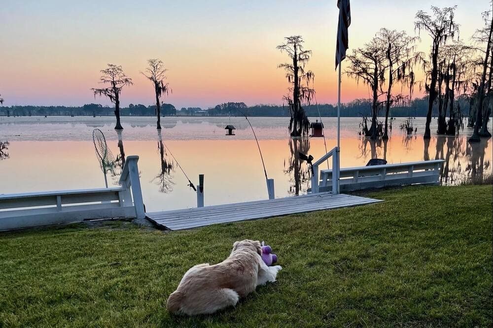 Photo of Others in Statesboro