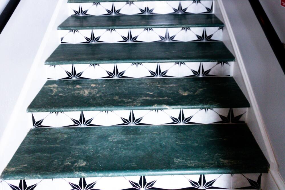 Photo of Others in Seneca