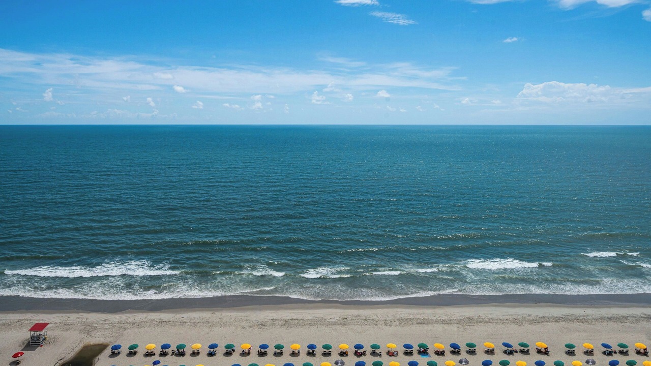 Photo of Others in Myrtle Beach