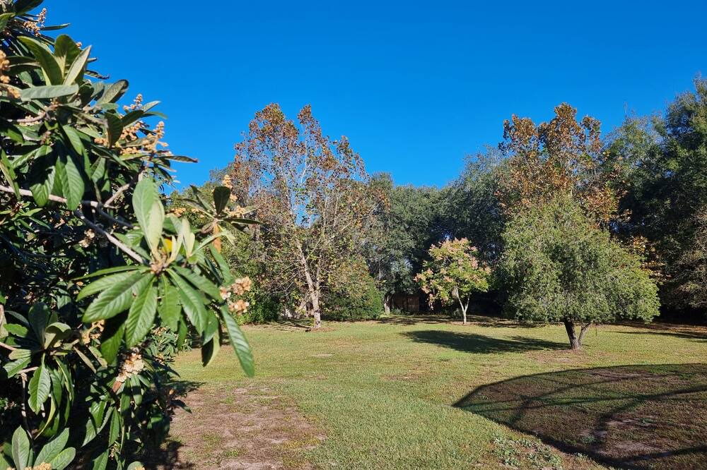 Photo of Others in Doral Woods