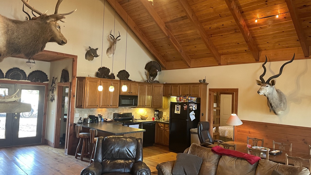 Photo of Livingroom in Stephens
