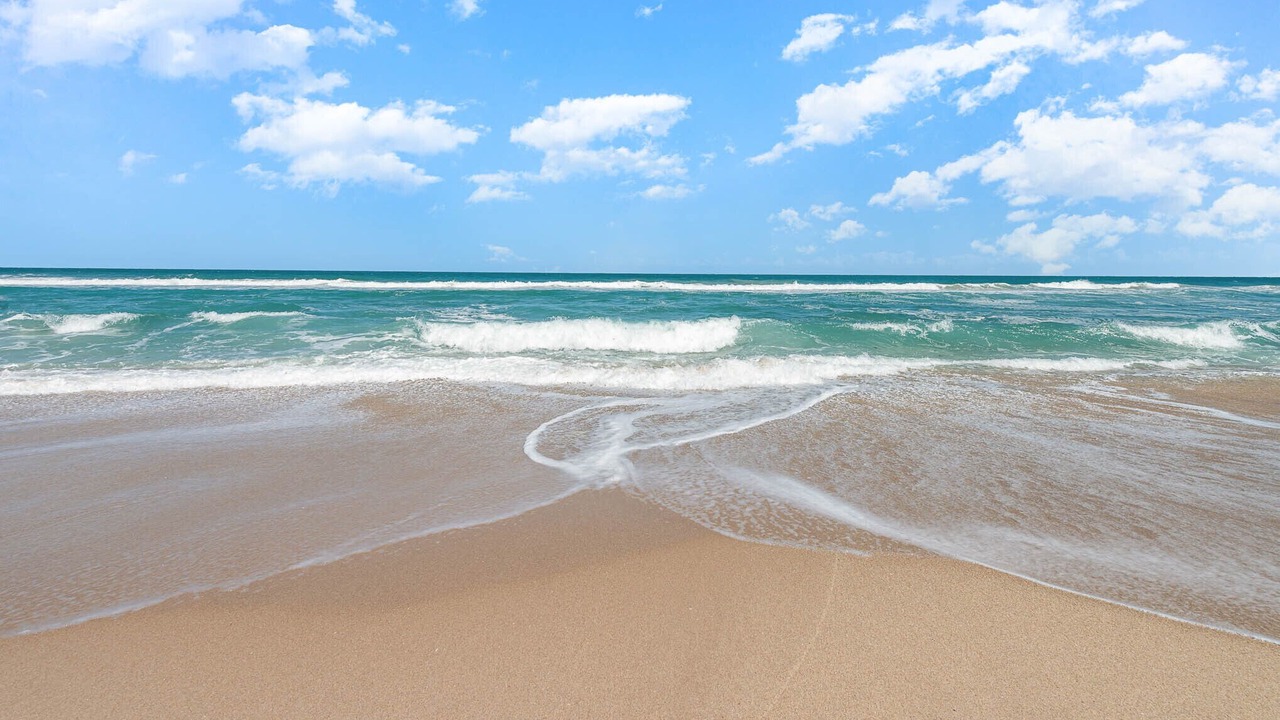 Photo of Others in Melbourne Beach