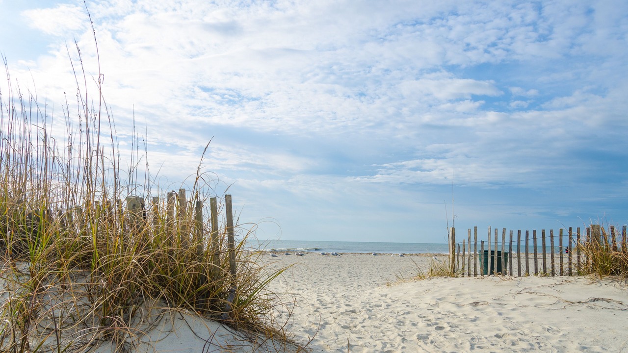 Photo of Others in Hilton Head Island