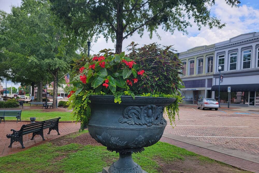 Photo of Outdoor in Abbeville