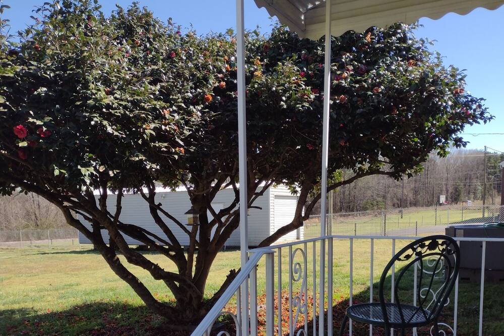 Photo of Outdoor in Golden Grove