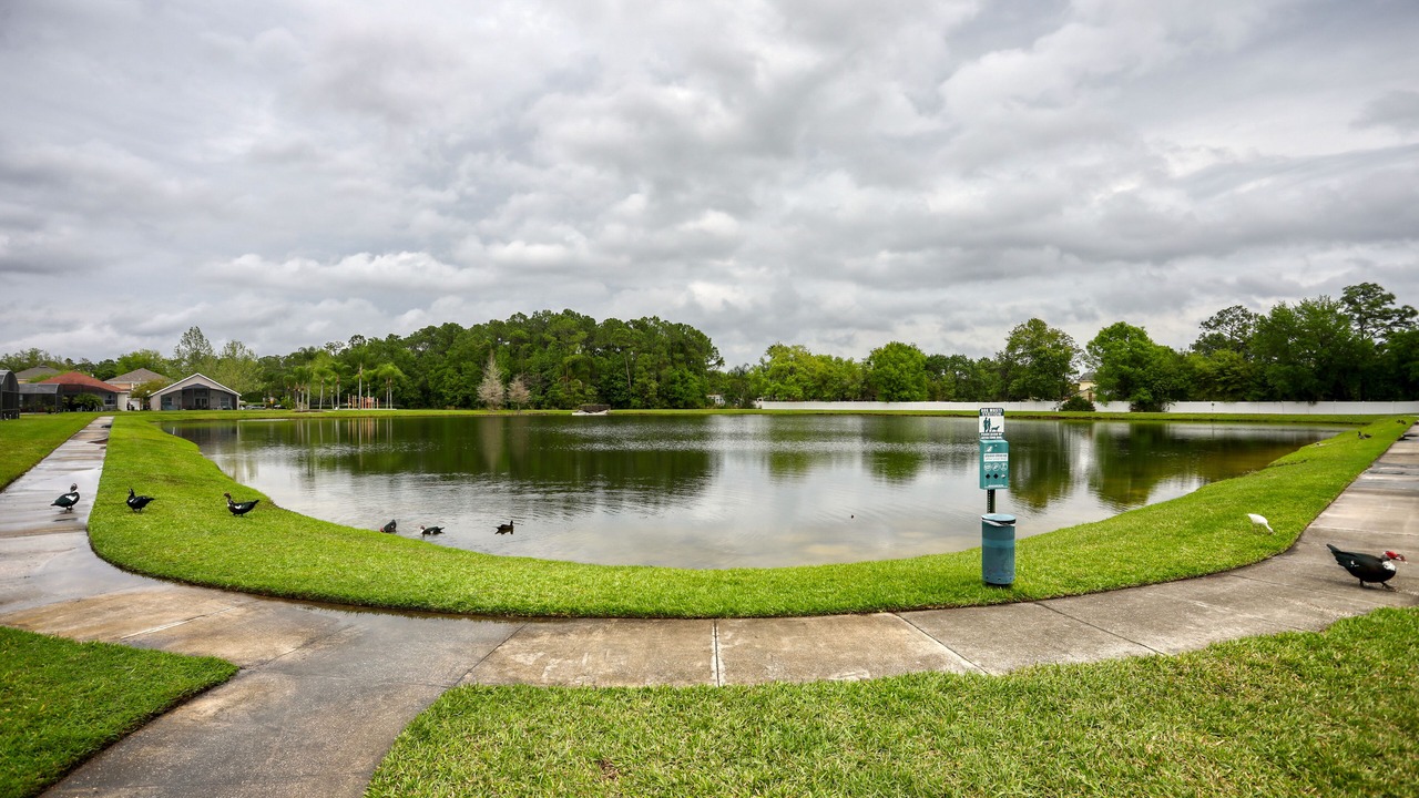 Photo of Outdoor in Seasons