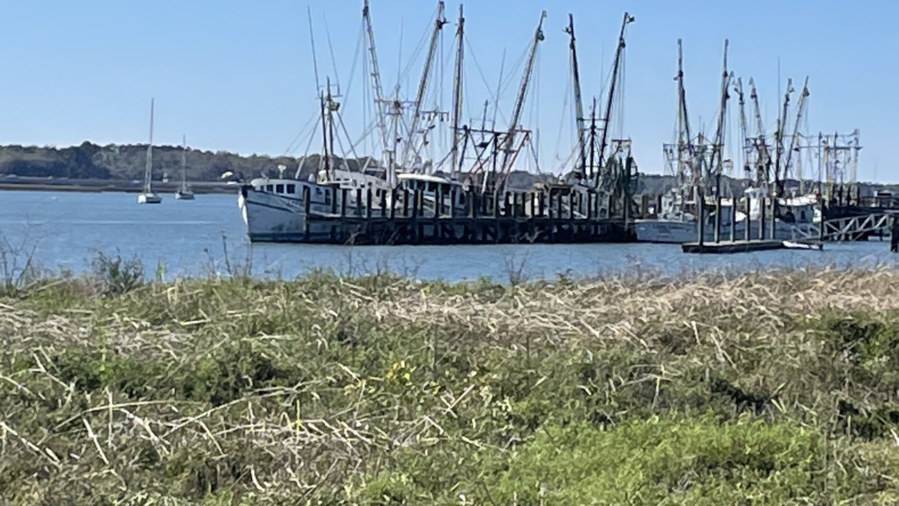 Photo of Others in Port Royal