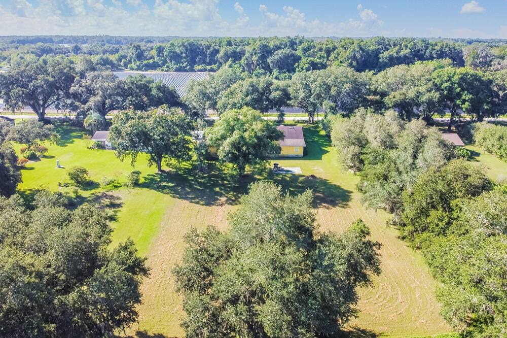 Photo of Others in Plant City