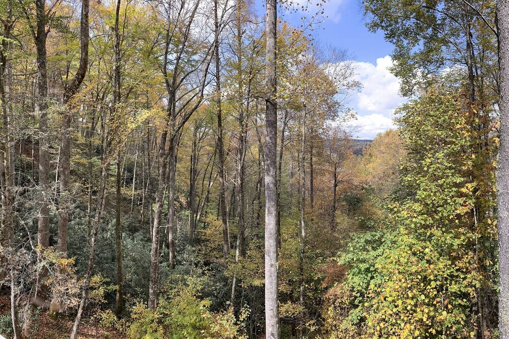 Photo of Others in Cullowhee