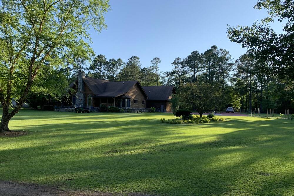 Photo of Outdoor in Loris