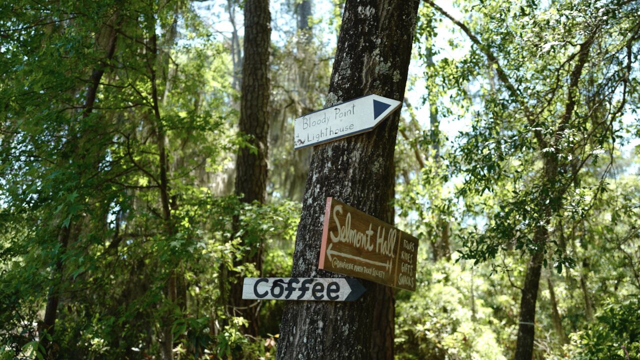 Photo of Outdoor in Daufuskie Island