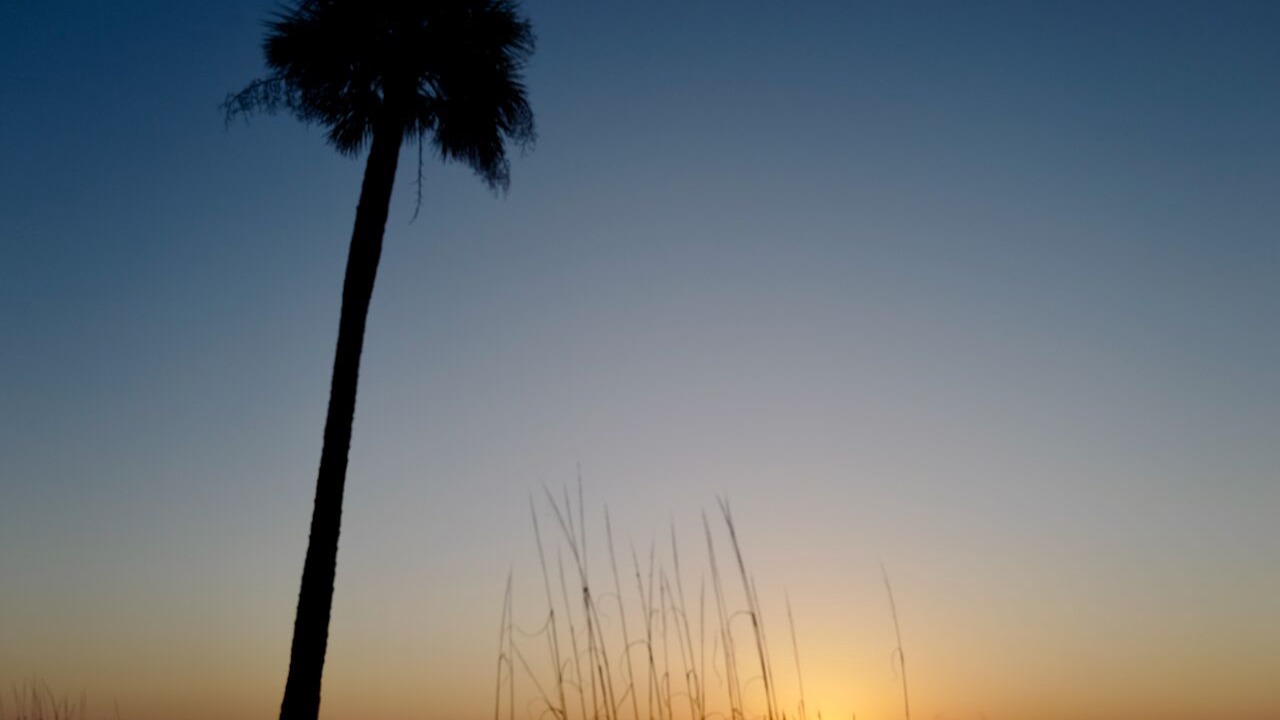 Photo of Others in Daufuskie Island