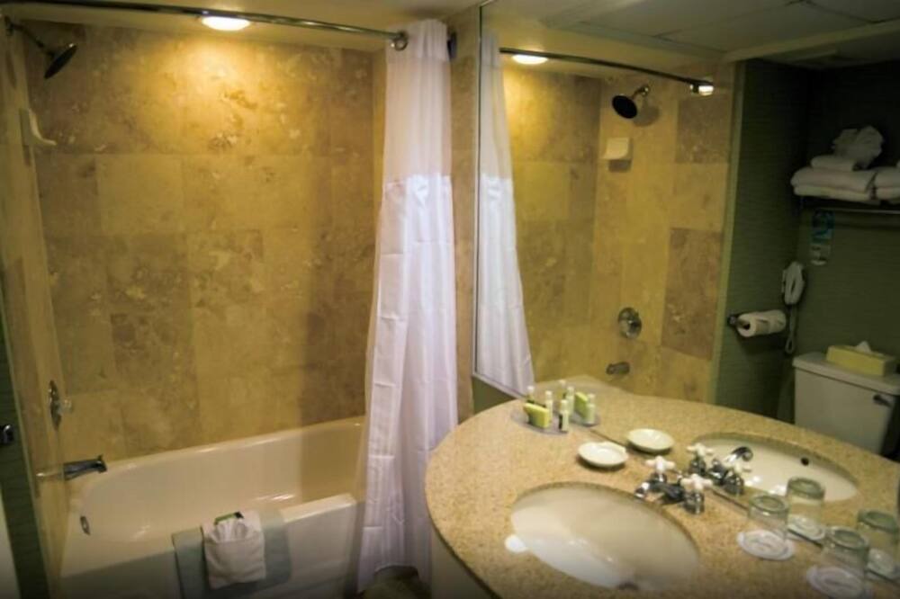 Photo of Bathroom in St. Pete Beach