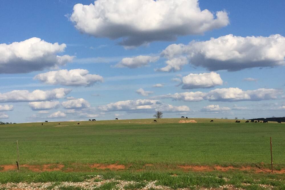 Photo of Outdoor in Colbert