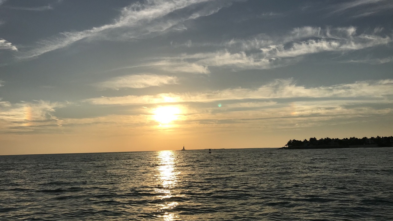 Photo of Others in Naples