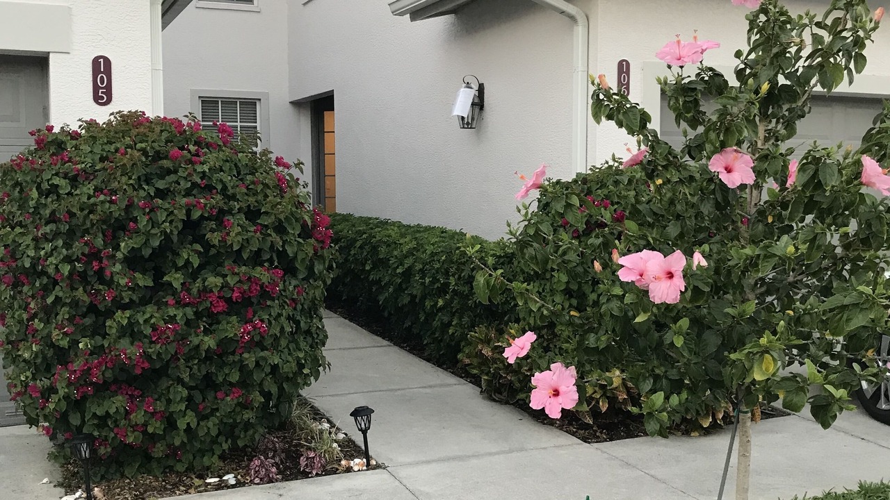 Photo of Outdoor in Naples