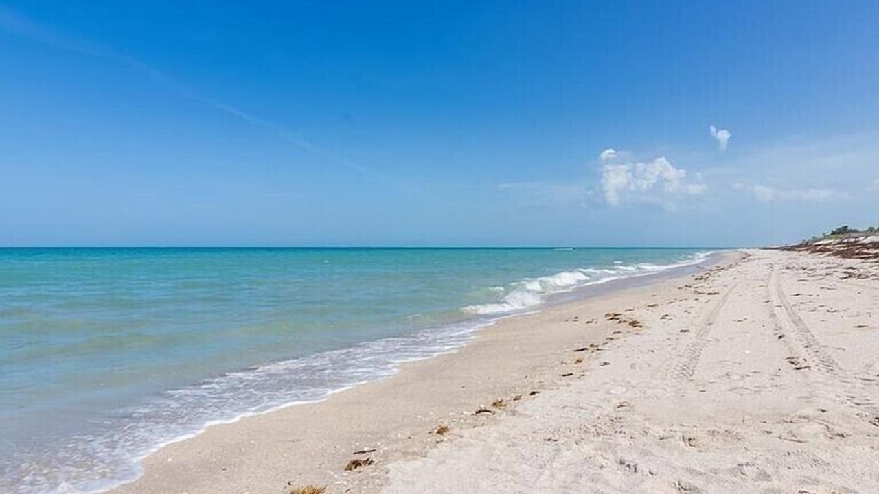 Photo of Others in Wabasso Beach