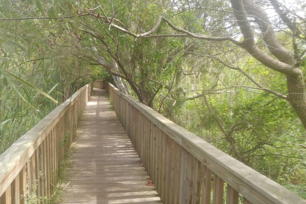 Photo of Others in Hilton Head Island
