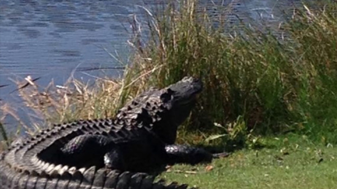 Photo of Outdoor in Saint Helena Island