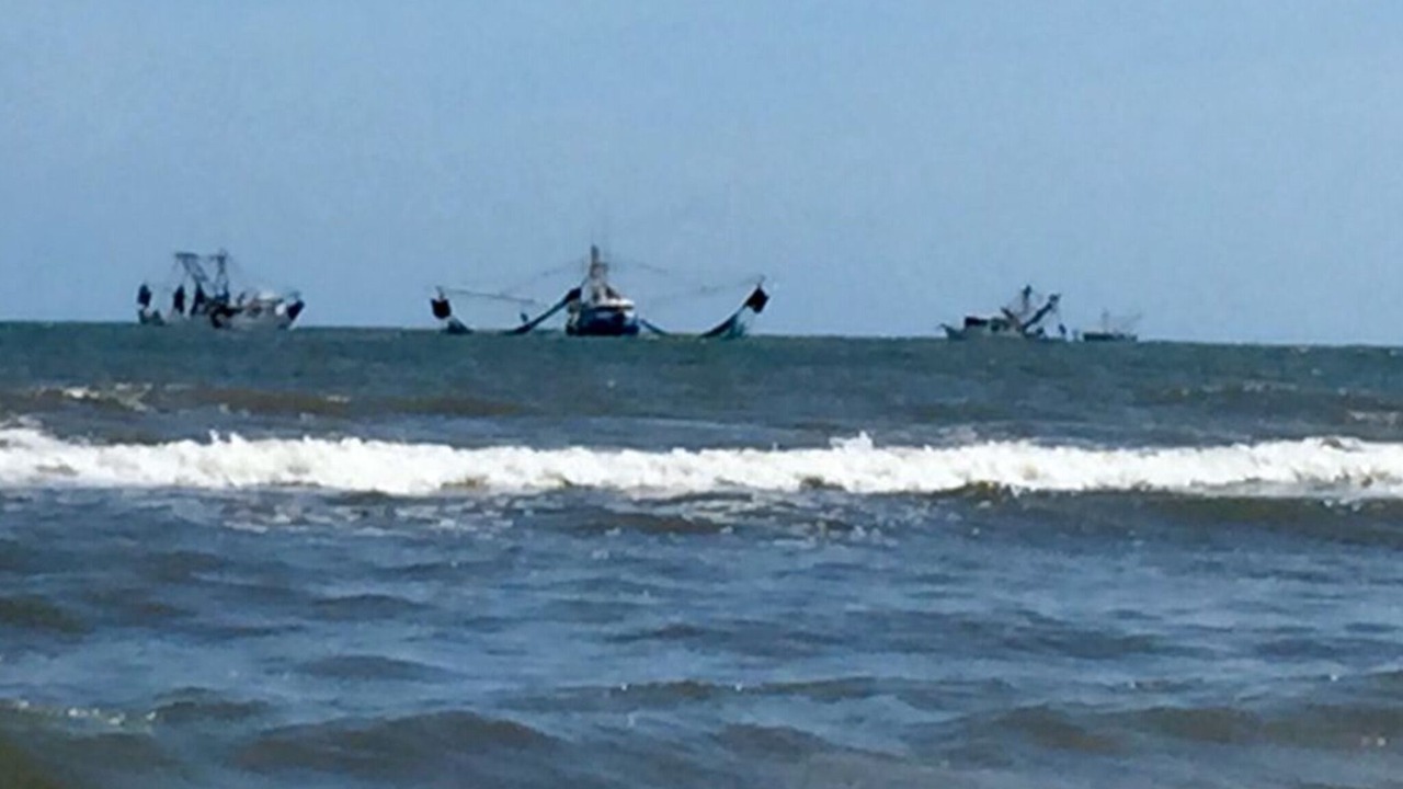 Photo of Others in Saint Helena Island