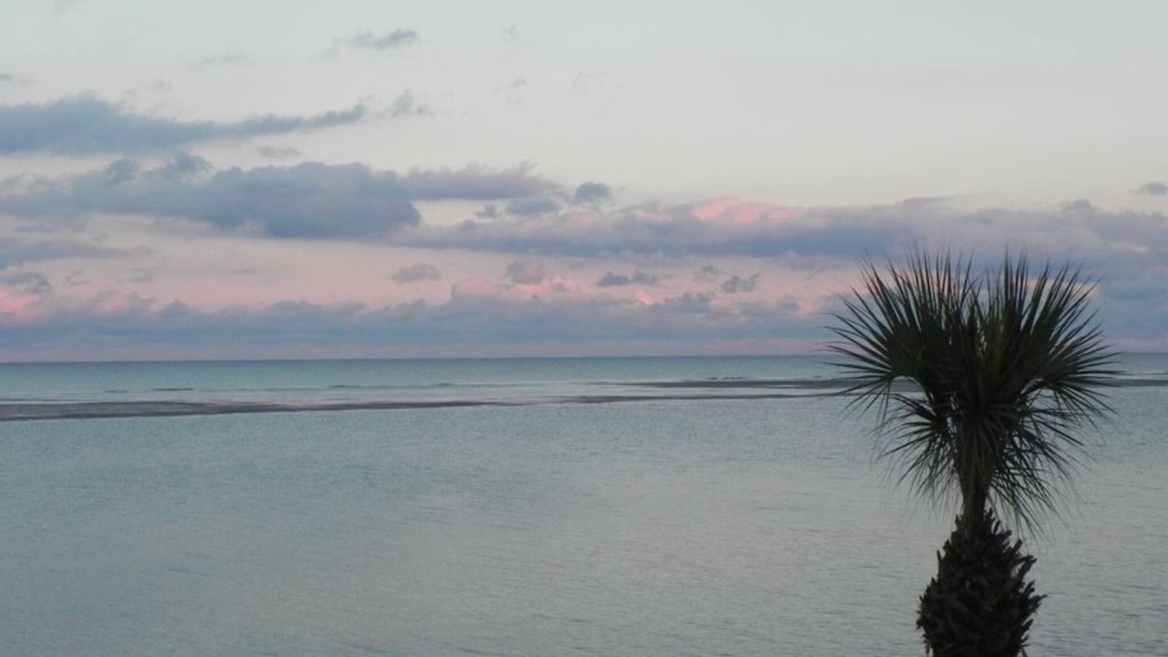 Photo of Others in Saint Helena Island