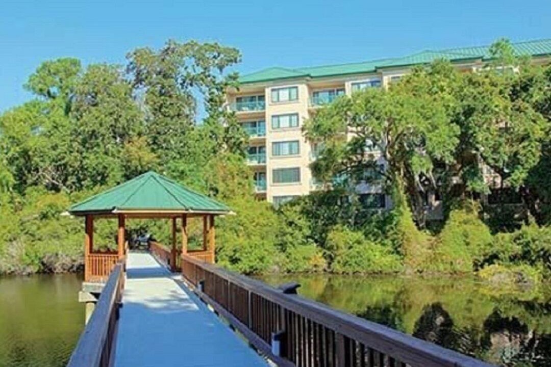 Photo of Outdoor in Hilton Head Island