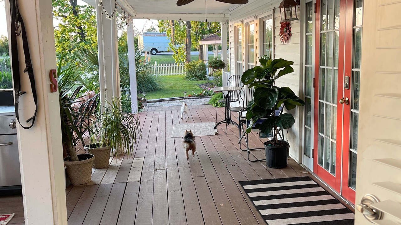 Photo of Outdoor in Bluffton