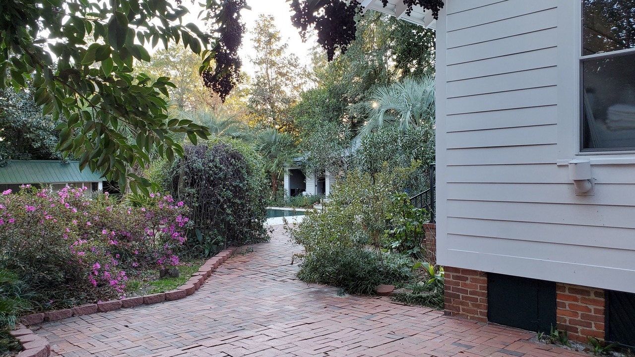 Photo of Outdoor in Forest Hills