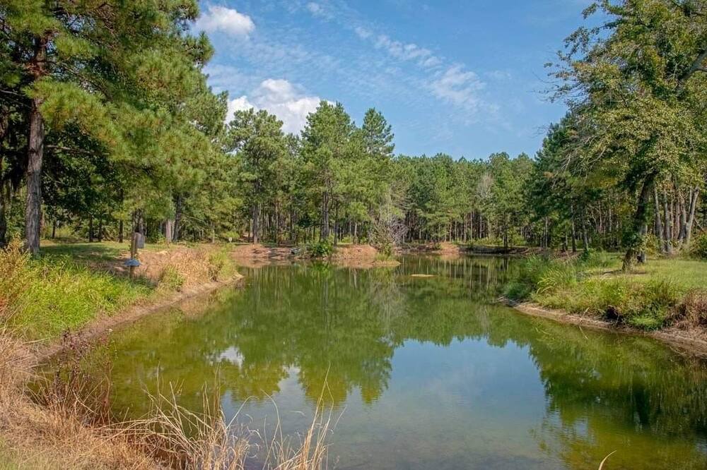 Photo of Others in Summerton