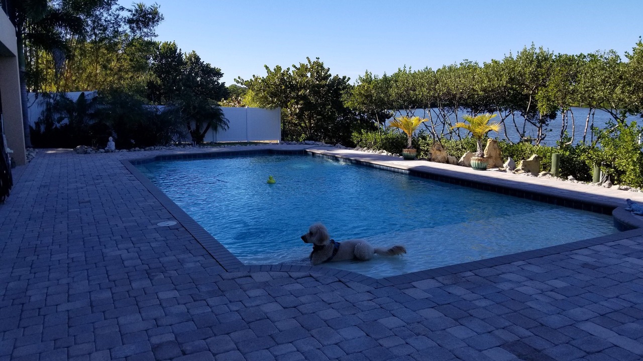 Photo of Outdoor in Palmetto
