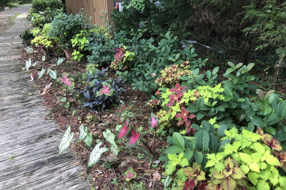 Photo of Outdoor in Dorchester County