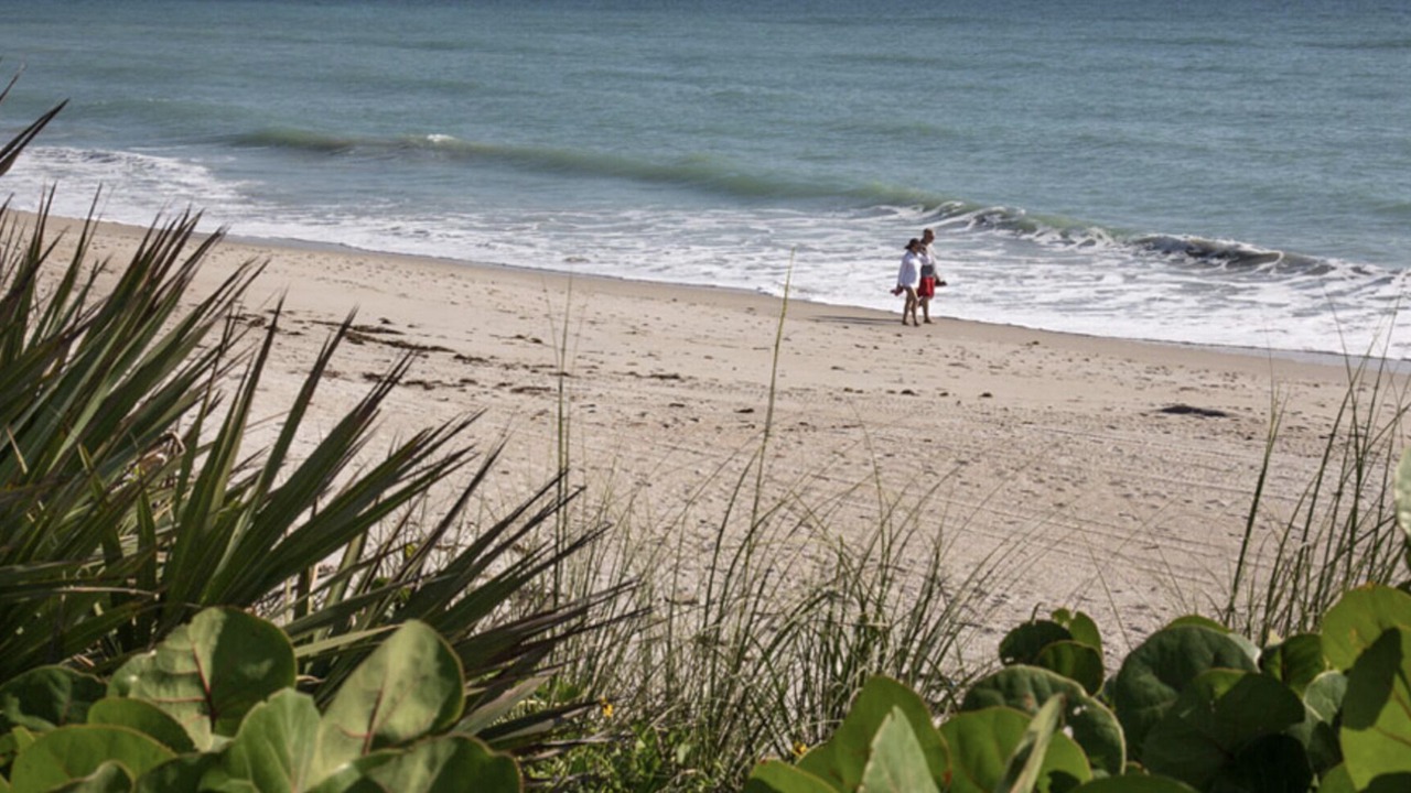 Photo of Others in Wabasso Beach